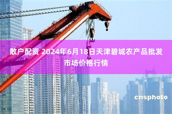 散户配资 2024年6月18日天津碧城农产品批发市场价格行情