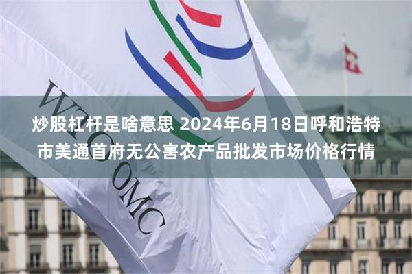 炒股杠杆是啥意思 2024年6月18日呼和浩特市美通首府无公害农产品批发市场价格行情