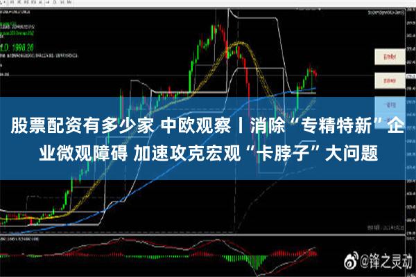 股票配资有多少家 中欧观察丨消除“专精特新”企业微观障碍 加速攻克宏观“卡脖子”大问题