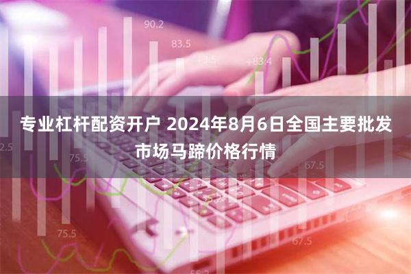 专业杠杆配资开户 2024年8月6日全国主要批发市场马蹄价格行情