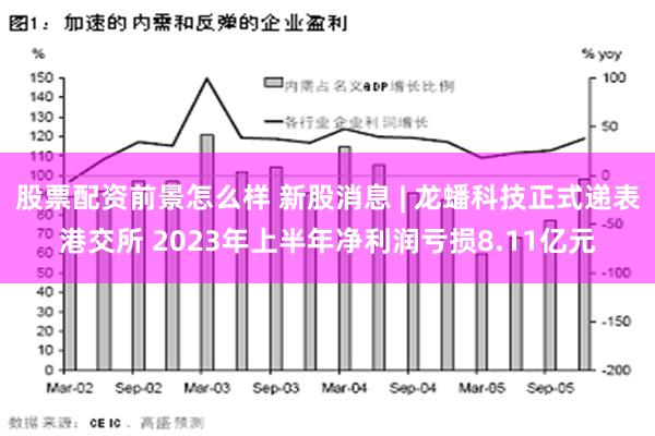 股票配资前景怎么样 新股消息 | 龙蟠科技正式递表港交所 2023年上半年净利润亏损8.11亿元