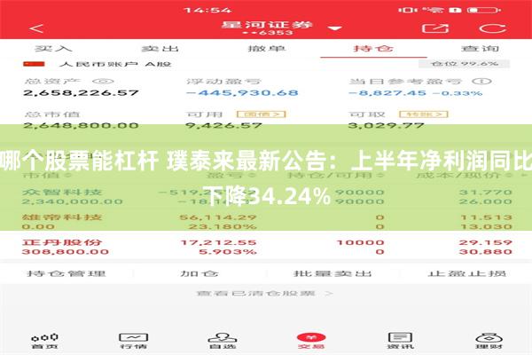 哪个股票能杠杆 璞泰来最新公告：上半年净利润同比下降34.24%