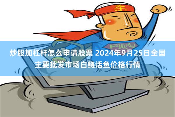 炒股加杠杆怎么申请股票 2024年9月25日全国主要批发市场白鲢活鱼价格行情