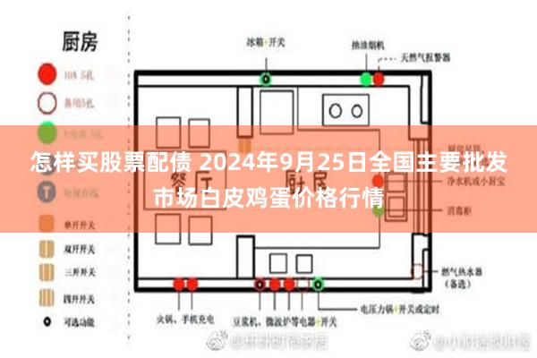 怎样买股票配债 2024年9月25日全国主要批发市场白皮鸡蛋价格行情