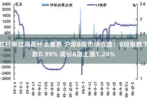 杠杆率过高是什么意思 沪深B股市场收盘：B股指数下跌0.99% 成份B指上涨1.24%