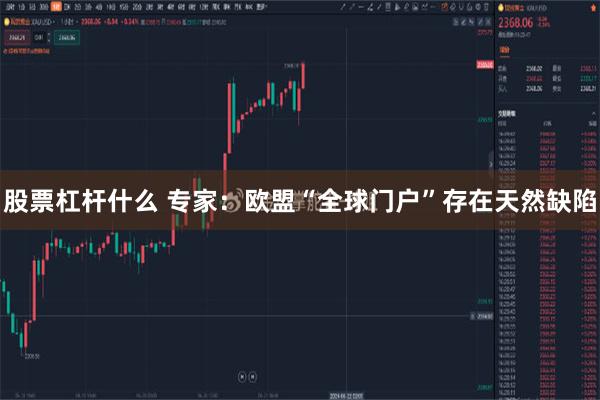 股票杠杆什么 专家：欧盟“全球门户”存在天然缺陷