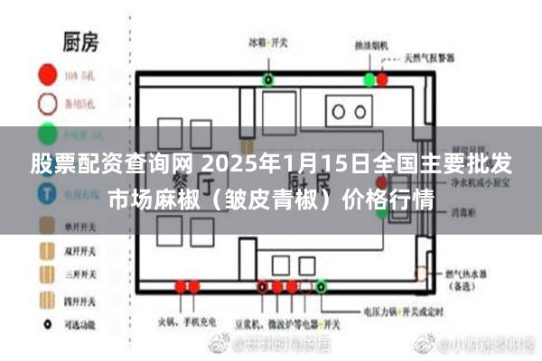 股票配资查询网 2025年1月15日全国主要批发市场麻椒（皱皮青椒）价格行情