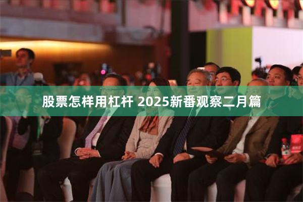 股票怎样用杠杆 2025新番观察二月篇